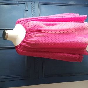 JCrew Clip dot Pink Blouse in XL